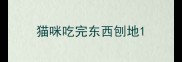 猫咪吃完东西刨地