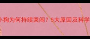 刚出生的小狗为何持续哭闹5大原因及科学应对指南