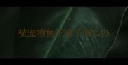 被宠物兔子咬了怎么办