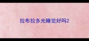 拉布拉多光睡觉好吗