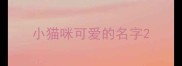 小猫咪可爱的名字