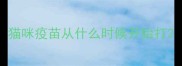 猫咪疫苗从什么时候开始打