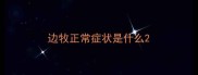 边牧正常症状是什么