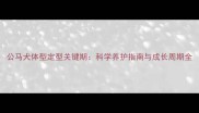 公马犬体型定型关键期科学养护指南与成长周期全