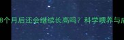 边境牧羊犬8个月后还会继续长高吗科学喂养与成长全指南