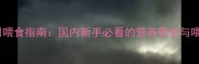 2个月泰迪幼犬每日喂食指南国内新手必看的营养需求与喂养技巧附食谱