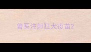 兽医注射狂犬疫苗
