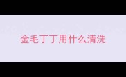 金毛丁丁用什么清洗