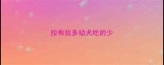拉布拉多幼犬吃的少