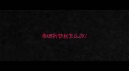 泰迪狗勃起怎么办
