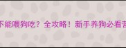 苹果能不能喂狗吃全攻略新手养狗必看营养指南