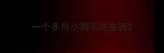 一个多月小狗不吃东西