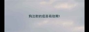 狗注射的疫苗有效期