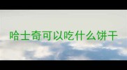 哈士奇可以吃什么饼干
