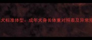 金毛犬标准体型成年犬身长体重对照表及异常预警