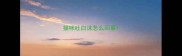 猫咪吐白沫怎么回事