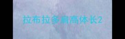拉布拉多肩高体长