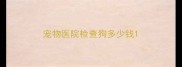 宠物医院检查狗多少钱
