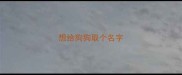 想给狗狗取个名字