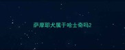 萨摩耶犬属于哈士奇吗