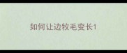 如何让边牧毛变长