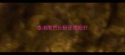 泰迪尾巴长好还是短好