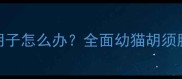 新手必看4个月大猫咪掉胡子怎么办全面幼猫胡须脱落原因及科学护理指南
