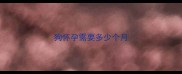 狗怀孕需要多少个月