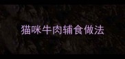 猫咪牛肉辅食做法