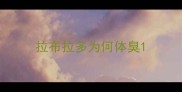 拉布拉多为何体臭