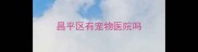 昌平区有宠物医院吗