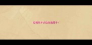 边境牧羊犬边牧进笼子