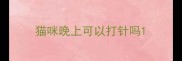 猫咪晚上可以打针吗
