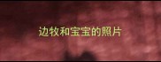 边牧和宝宝的照片