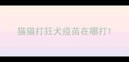 猫猫打狂犬疫苗在哪打