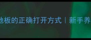两个月小猫睡地板的正确打开方式新手养猫必看全攻略