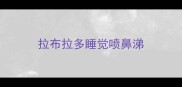 拉布拉多睡觉喷鼻涕