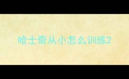 哈士奇从小怎么训练