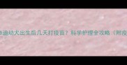 新手必读泰迪幼犬出生后几天打疫苗科学护理全攻略附疫苗时间表