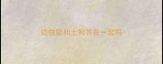 边牧能和土狗养在一起吗