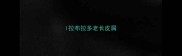 l拉布拉多老长皮屑