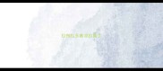 拉布拉多着凉拉稀了
