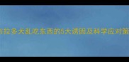 拉布拉多犬乱吃东西的5大诱因及科学应对策略