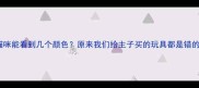 猫咪能看到几个颜色原来我们给主子买的玩具都是错的