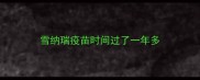 雪纳瑞疫苗时间过了一年多