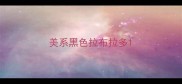 美系黑色拉布拉多