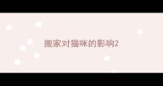 搬家对猫咪的影响