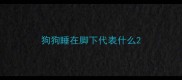 狗狗睡在脚下代表什么