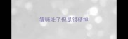 猫咪吐了但是很精神