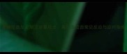 宠物疫苗反应期注意事项全喜贝多疫苗常见反应与应对指南